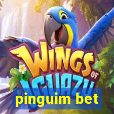 pinguim bet